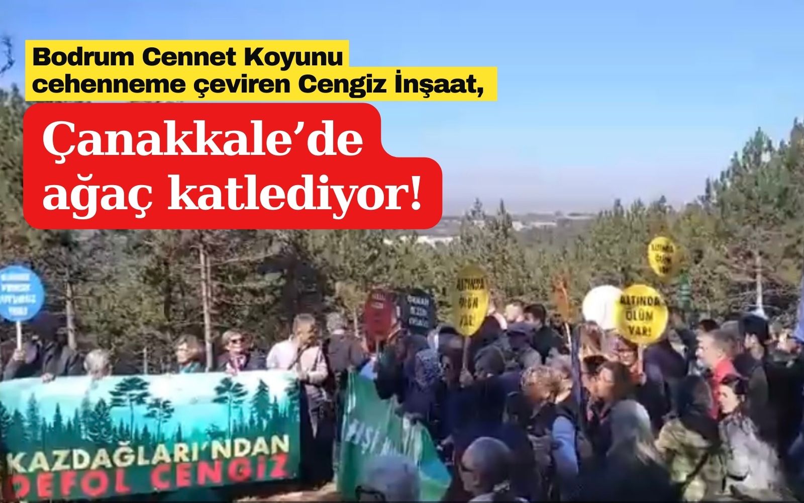 Bodrum Cennet Koyunu cehenneme çeviren Cengiz İnşaat, Çanakkale’de ağaç katlediyor!