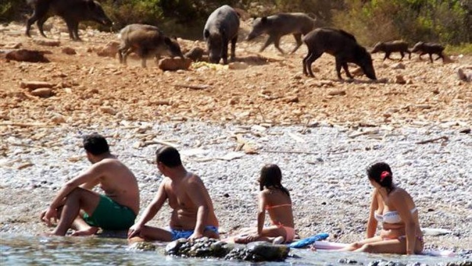 BURASI AFRİKA DEĞİL BODRUM!