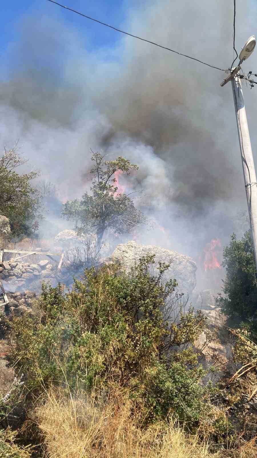 Bodrum Gündoğan’da yangın!