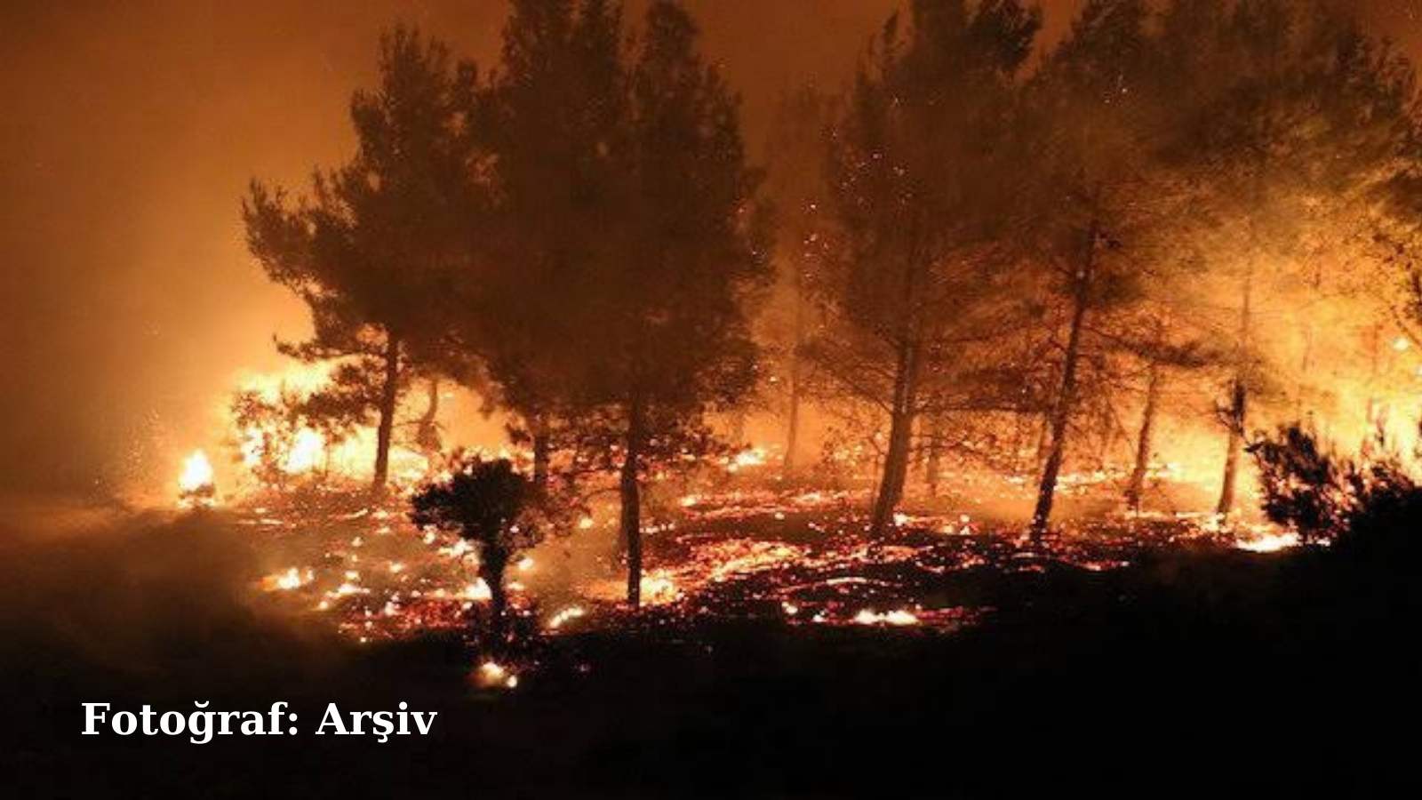 SON DAKİKA! Marmaris’te orman yangını