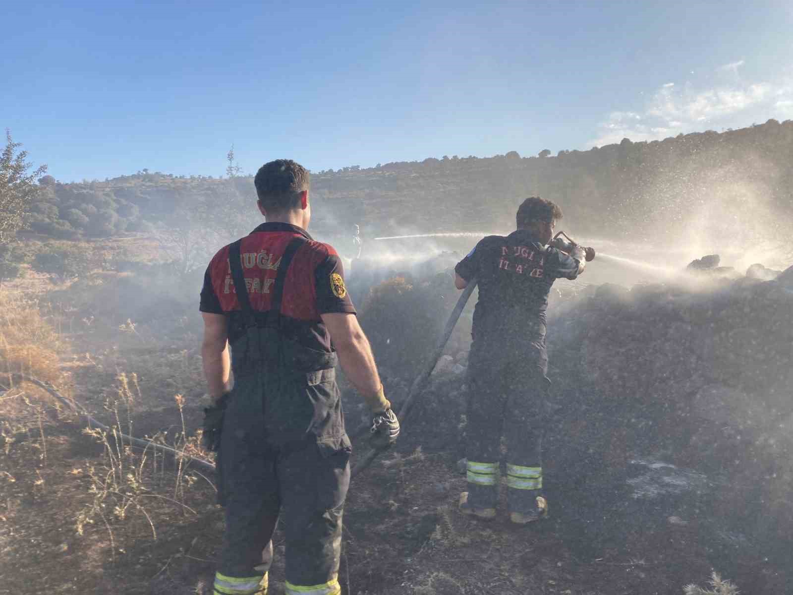 Bodrum’da makilik alanda yangın