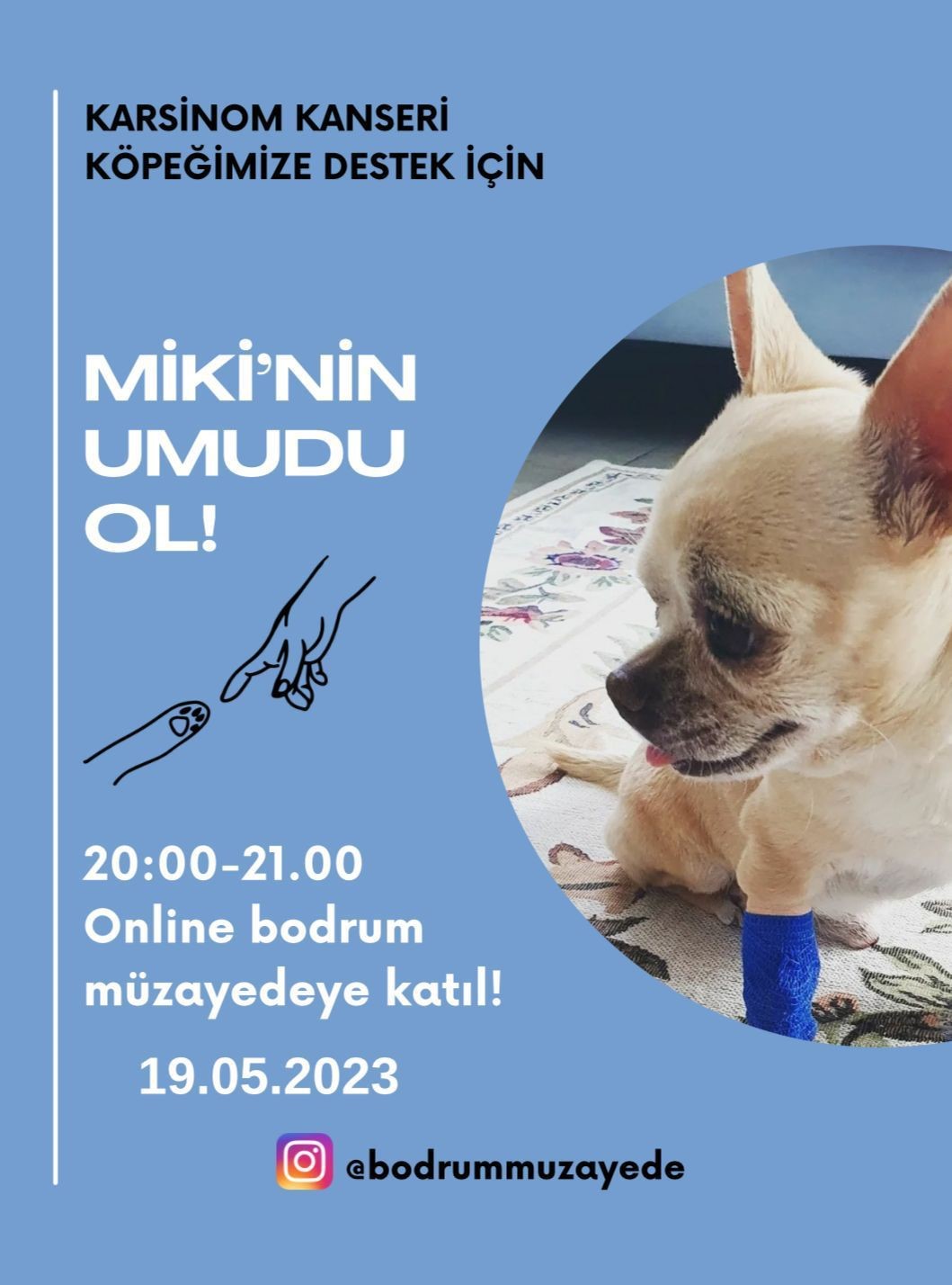 Bodrum Müzayede 'Miki' için mezat yapacak