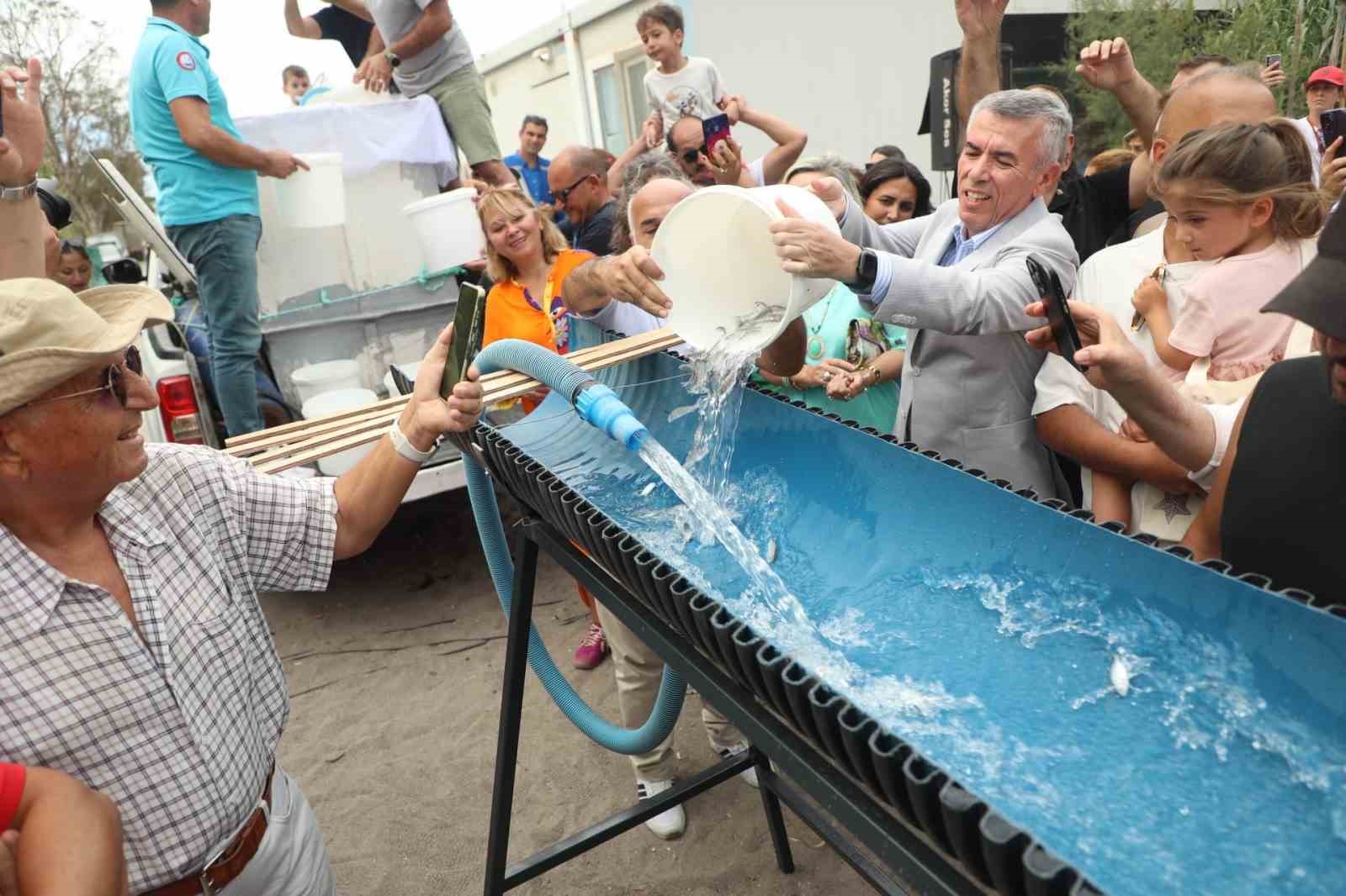 Bodrum’da balık festivali için geri sayım başladı
