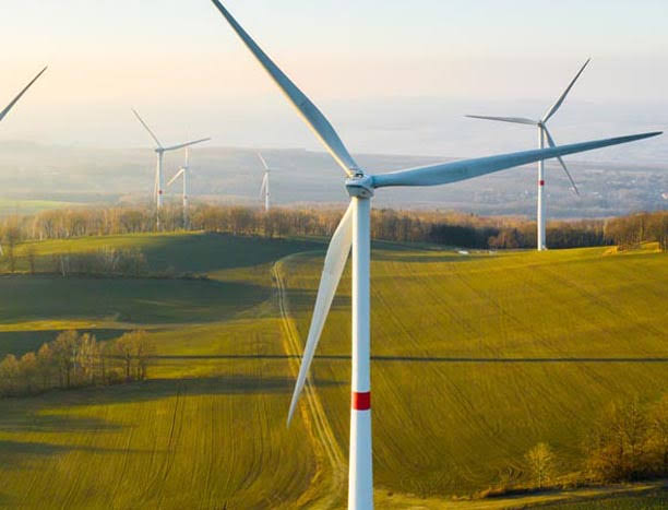 Bodrum ve Milas’ta Tartışmalı RES Projesinde İnşaat Başladı