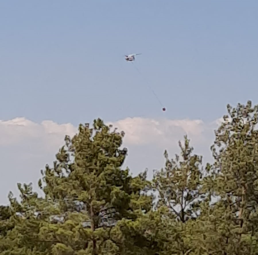 SON DAKİKA! Bodrum Mumcular'daki ormanlık alanda korkutan yangın! 3 helikopter ve 1 uçak bölgede! 