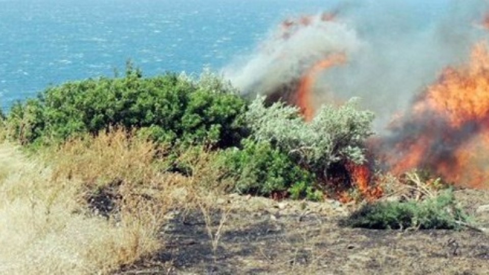 Bodrum’da yangın