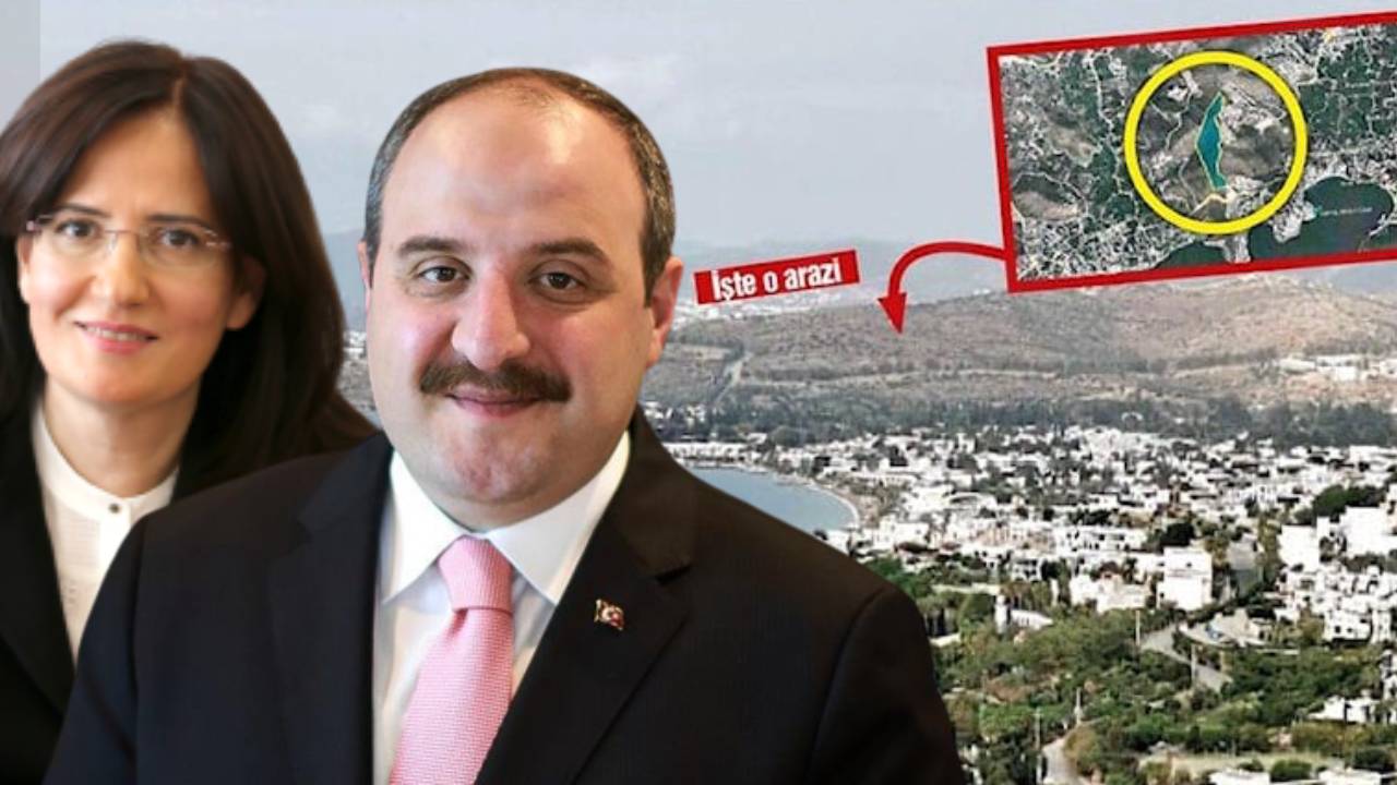 Bodrum'daki araziyi alan Bakan Varank'ın kuzeninin ablası, ihaleyi veren ise Çevre Bakanlığı'nda bakan yardımcısıymış