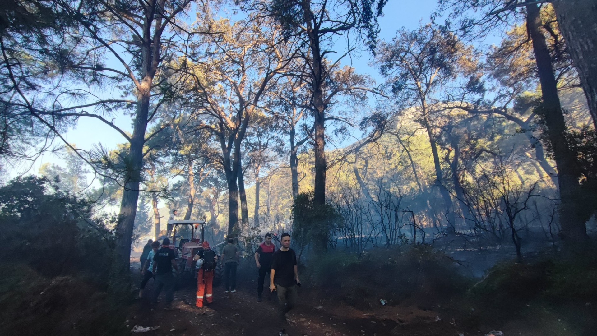 Datça ve Bodrum da bugün alevlere teslim oldu 