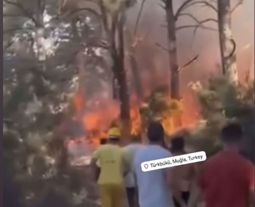 Datça ve Bodrum da bugün alevlere teslim oldu 