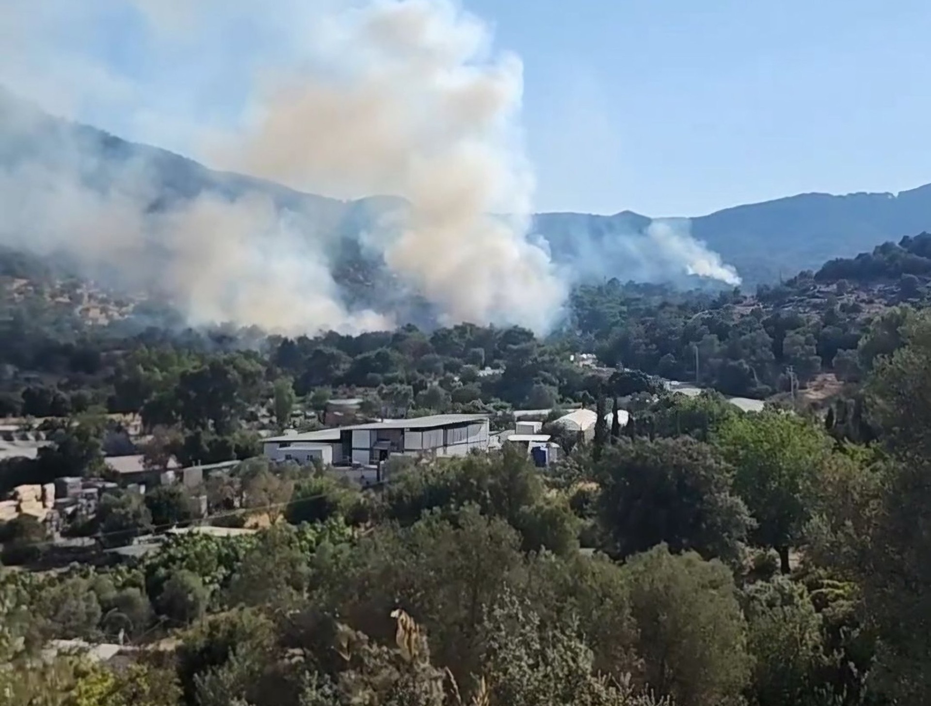 Datça ve Bodrum da bugün alevlere teslim oldu 