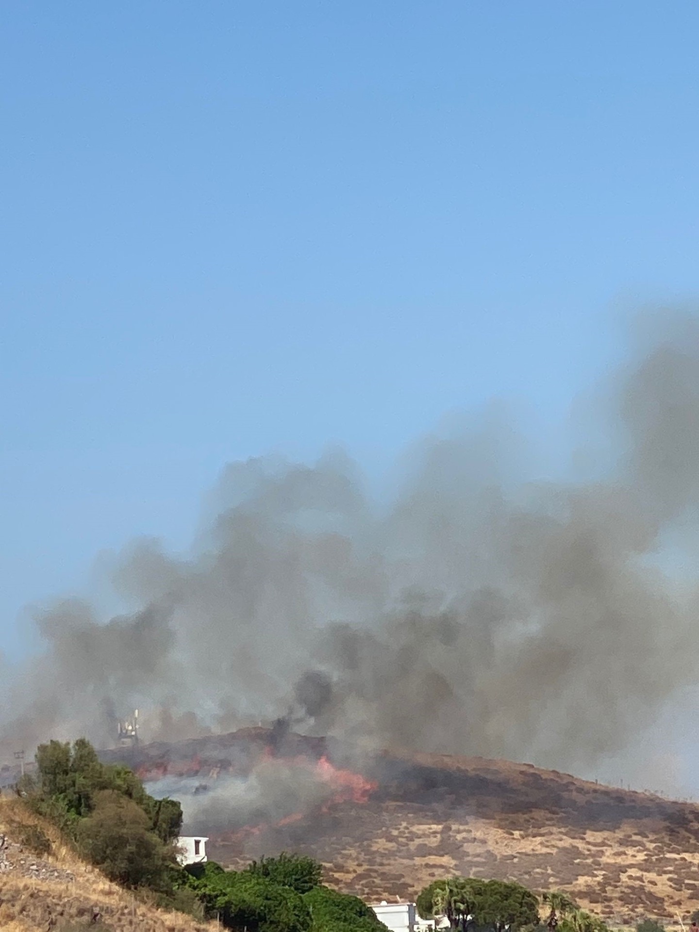 Bodrum'da korkutan yangın