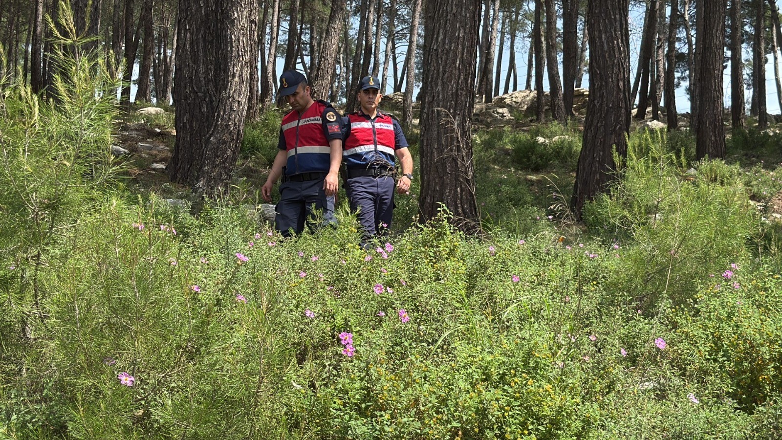 Jandarma teyakkuzda: Bodrum’da ormanlara giriş yasaklandı