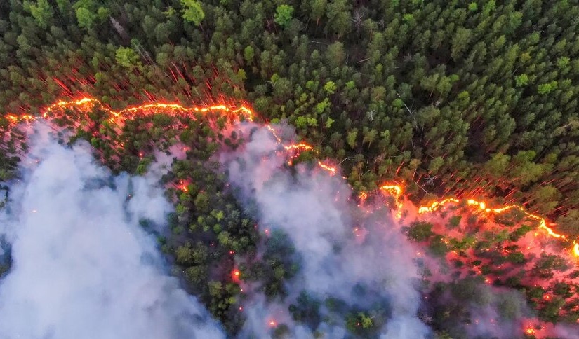 İçişleri Bakanlığından valiliklere orman yangınları için önlem genelgesi: