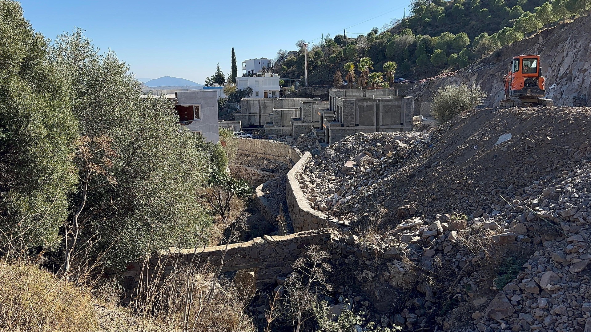 Suavi'nin Bodrum'daki arazisinde 40 ağaç kesildi