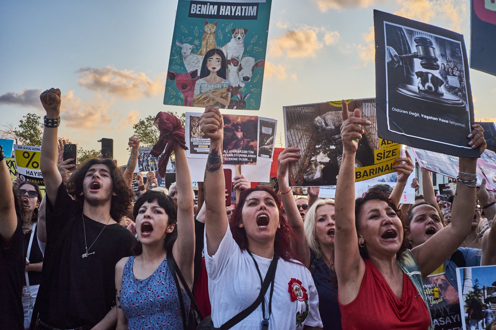 Binlerce yaşam hakkı savunucusu İstanbul Kadıköy'de katliam yasasını protesto etti