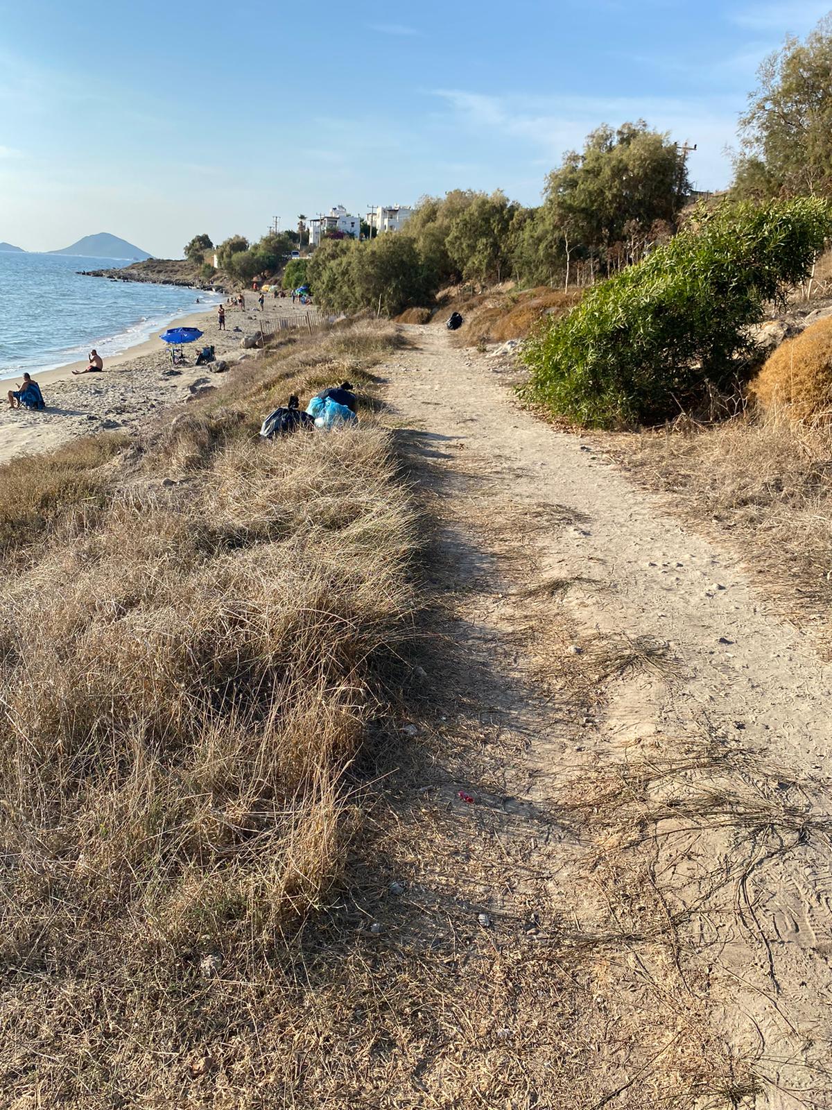 Bodrum'da ‘Kum Zambakları’nın korunmasına dikkat çekildi 