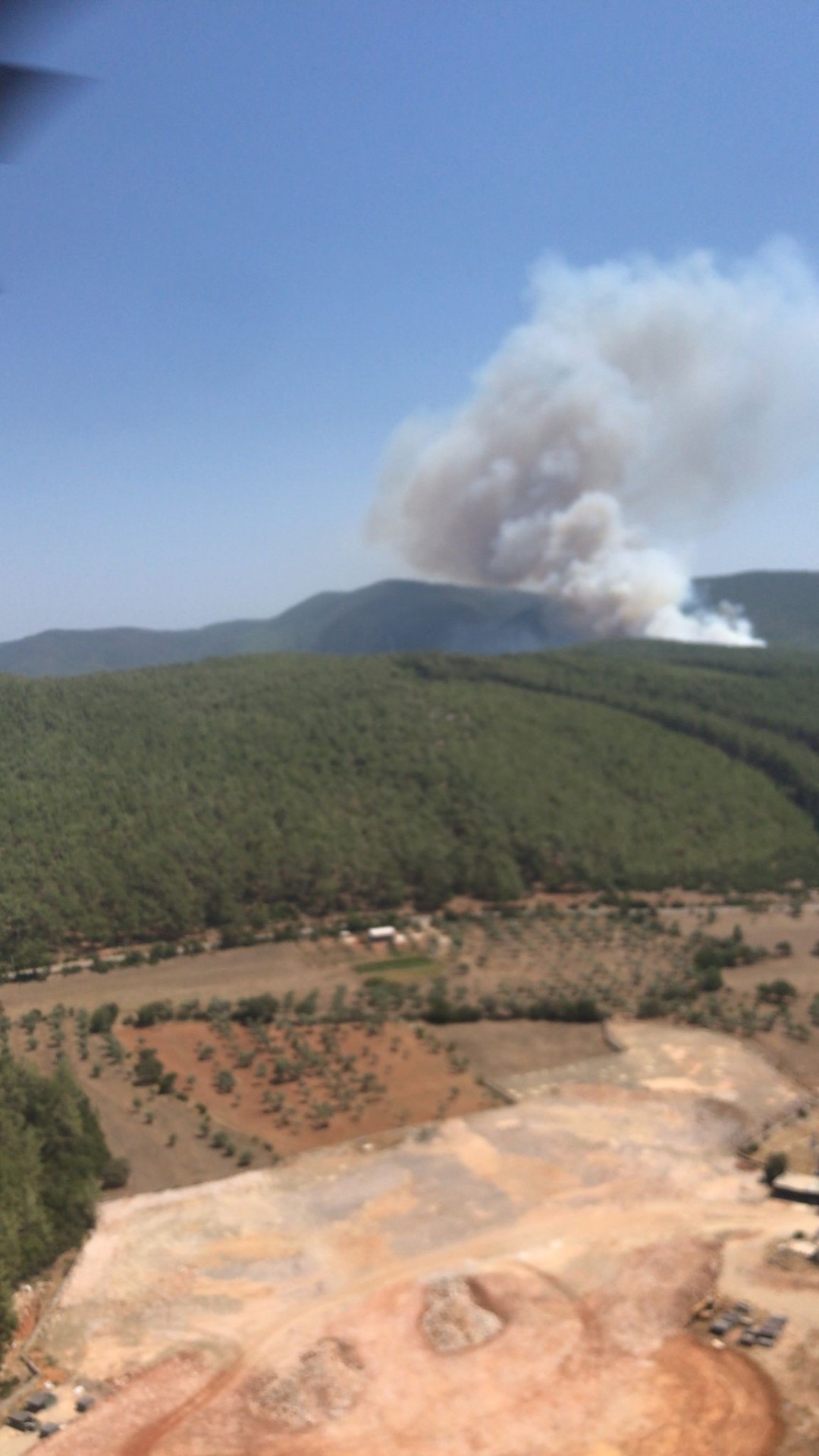 Bodrum'da orman yangını!