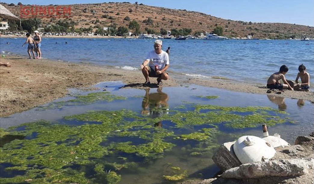 Gümbet’teki otelcilerin kirlilik isyanı! 