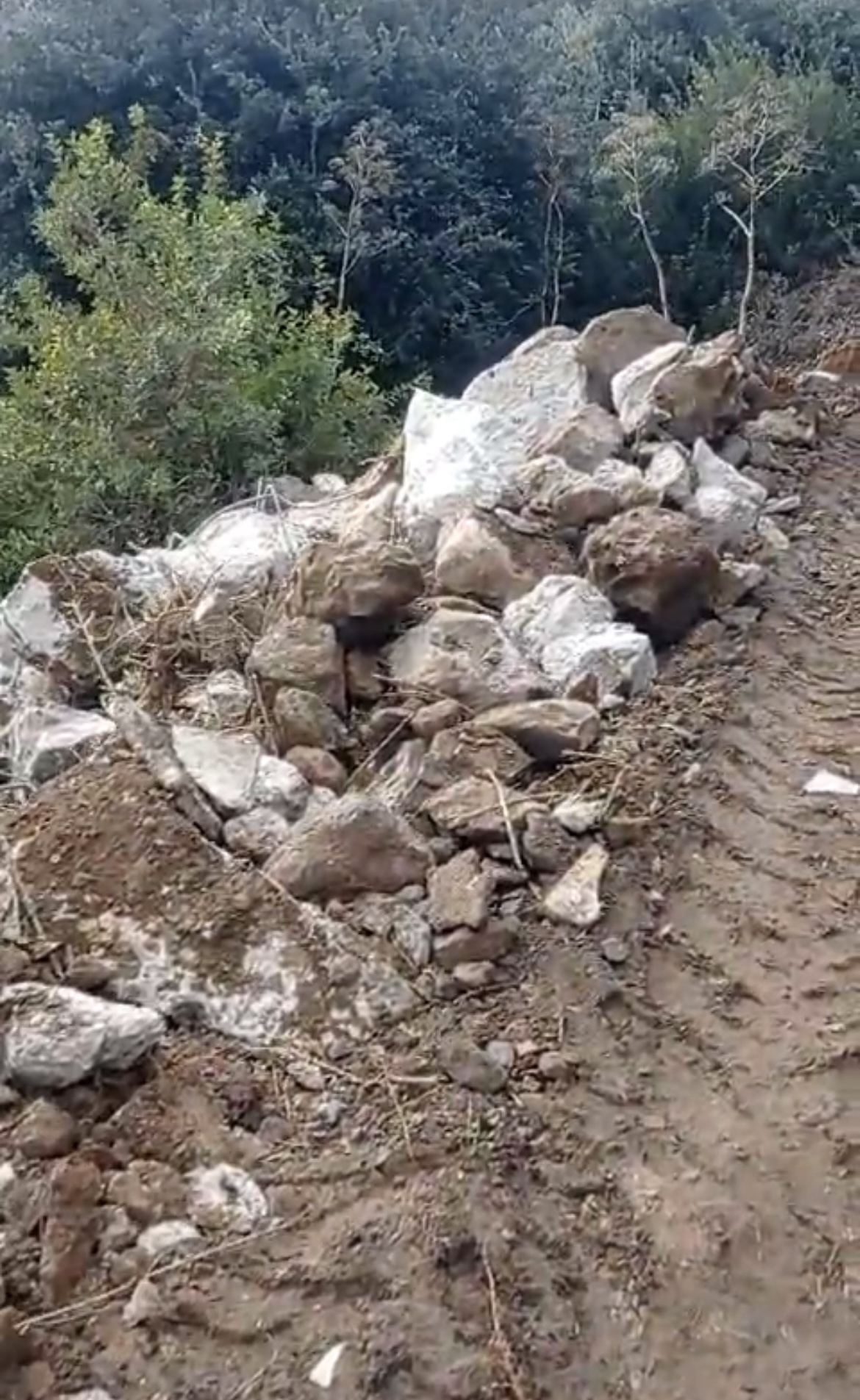 Bitez’de doğa talanı: yeşillik alana kamyonlarla hafriyat döküldü 