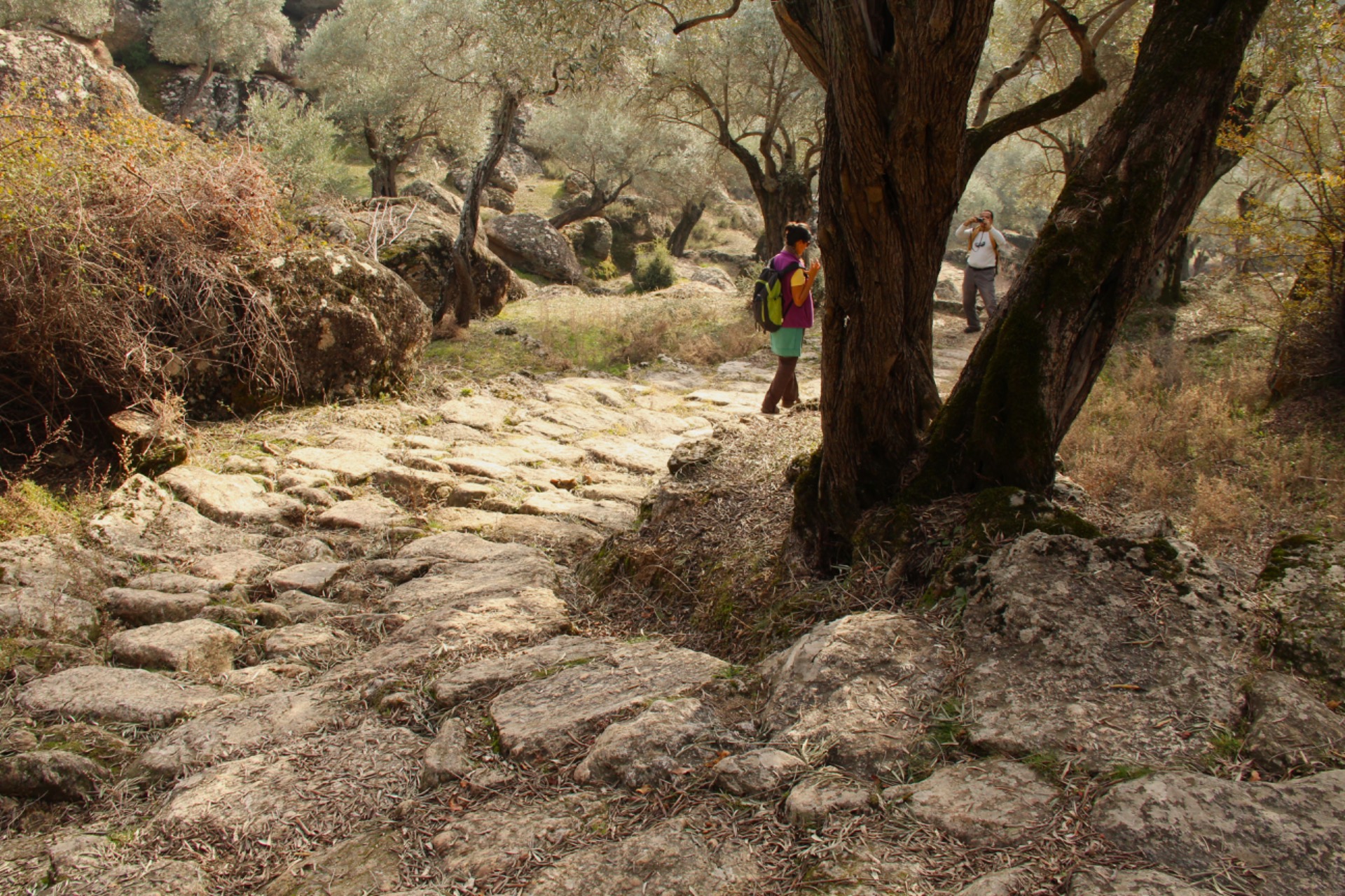 Latmos’taki antik yola beton döktüler!