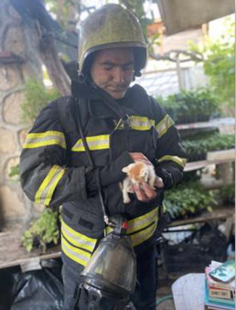 Bodrum'da yangın çıkan evdeki kedi yavrusunu itfaiye ekibi kurtardı 