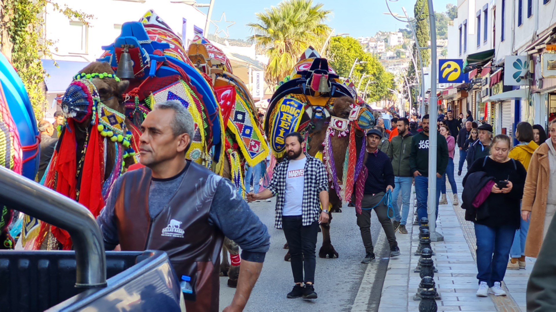 Bodrum'da develi kortej yürüyüşü 