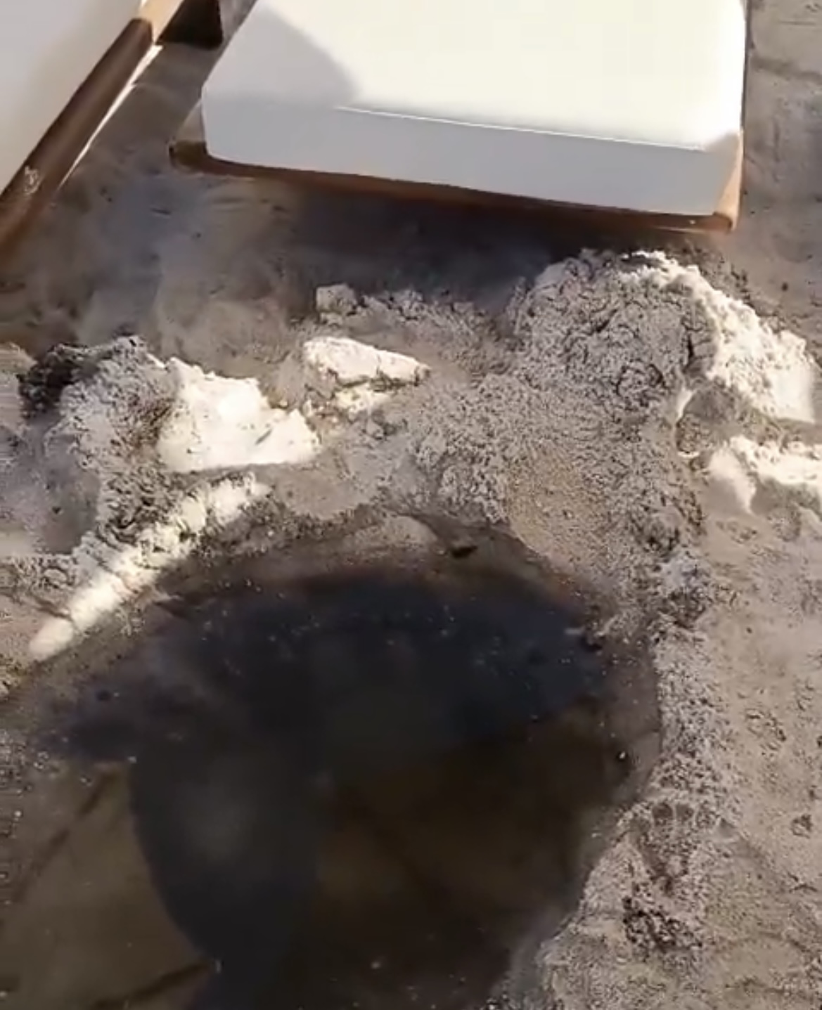 Bitez’de bir plajda kirlilik alarmı! 