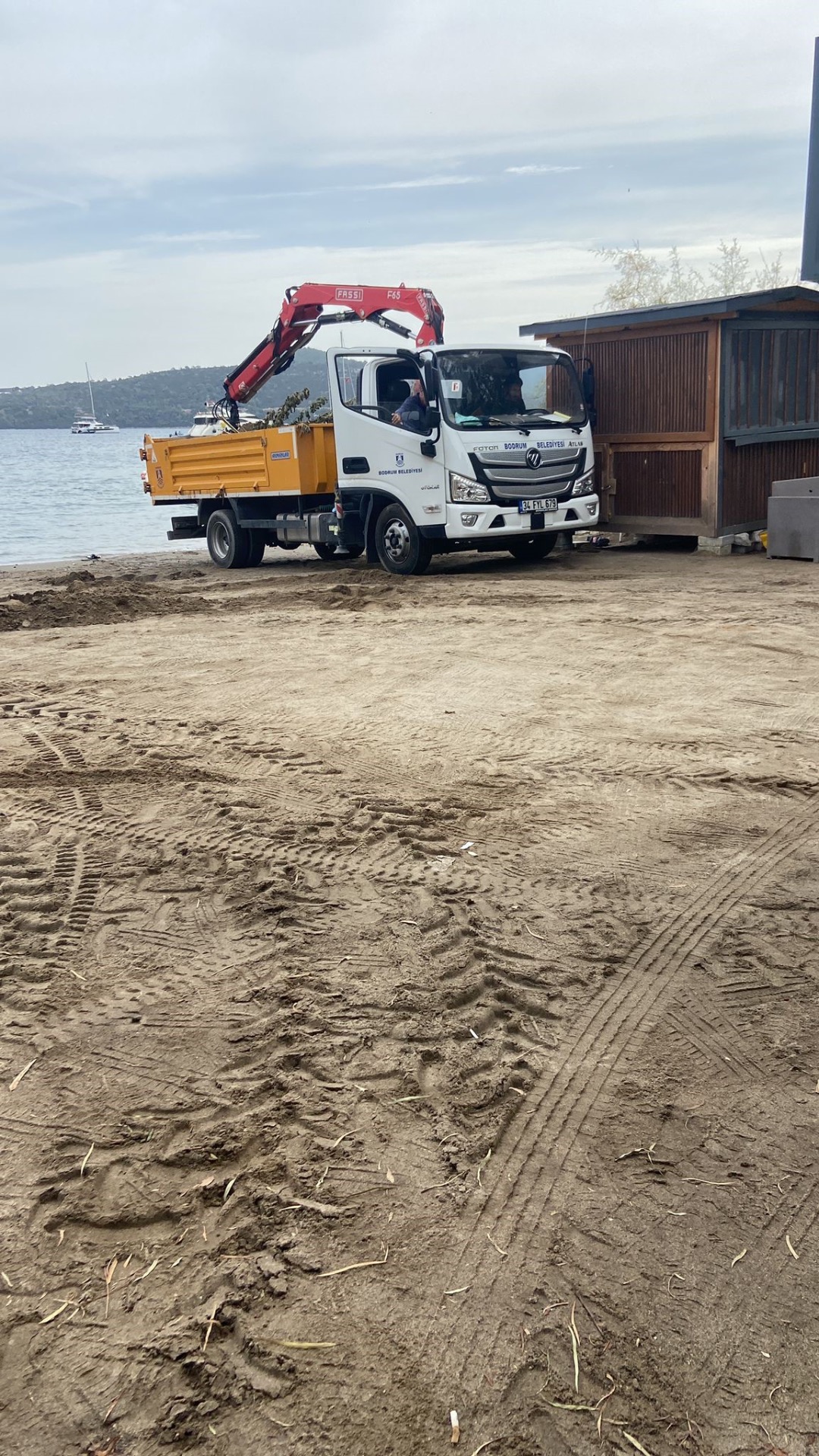 Bodrum'da deniz kaplumbağası sahile vurdu