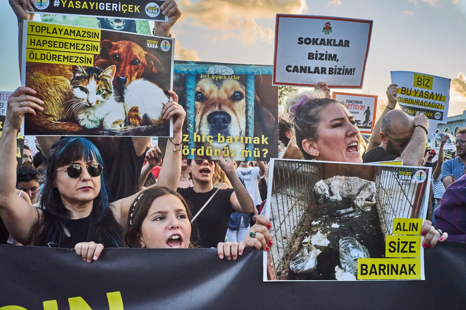 Binlerce yaşam hakkı savunucusu İstanbul Kadıköy'de katliam yasasını protesto etti