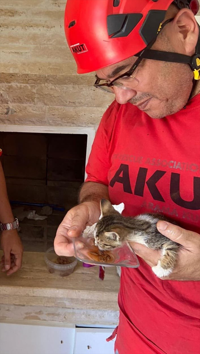 Bodrum'da binanın bacasına sıkışan kedi yavrusu kurtarıldı