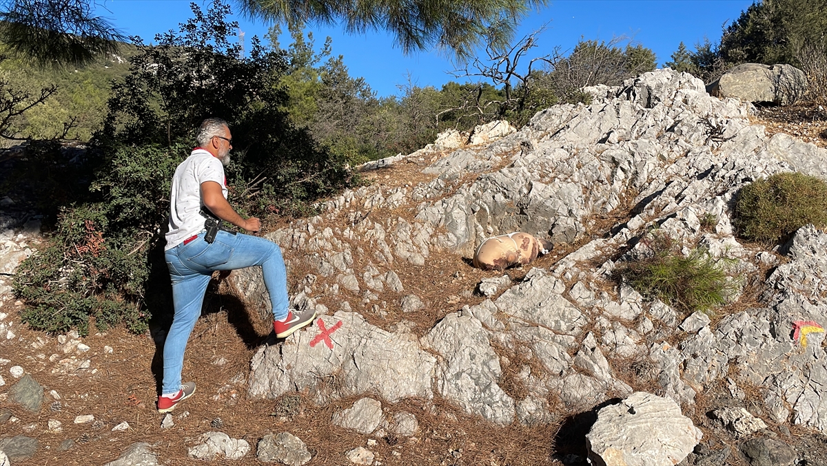 Bodrum'da çarşafa sarılı dağlık alana bırakılan paketten köpek ölüsü çıktı