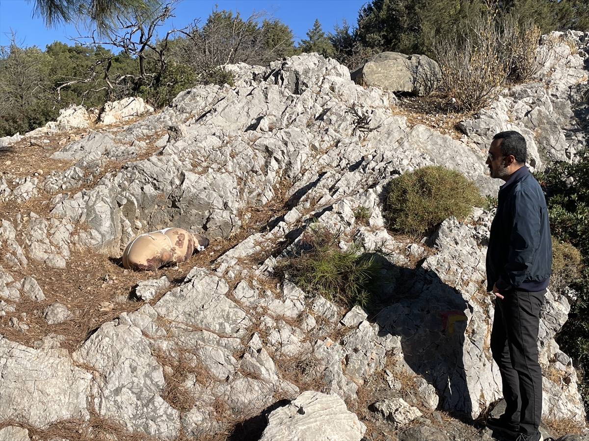 Bodrum'da çarşafa sarılı dağlık alana bırakılan paketten köpek ölüsü çıktı