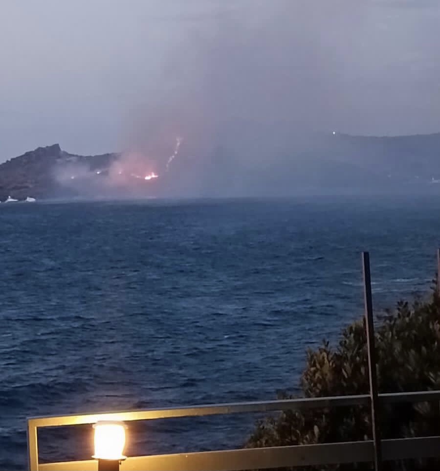 Yalıkavak’ta koyda korkutan yangın!