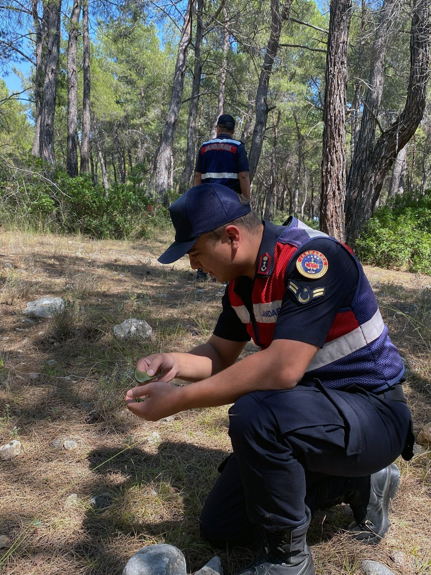 Yangın ihtimaline karşı Jandarma orman nöbetinde!