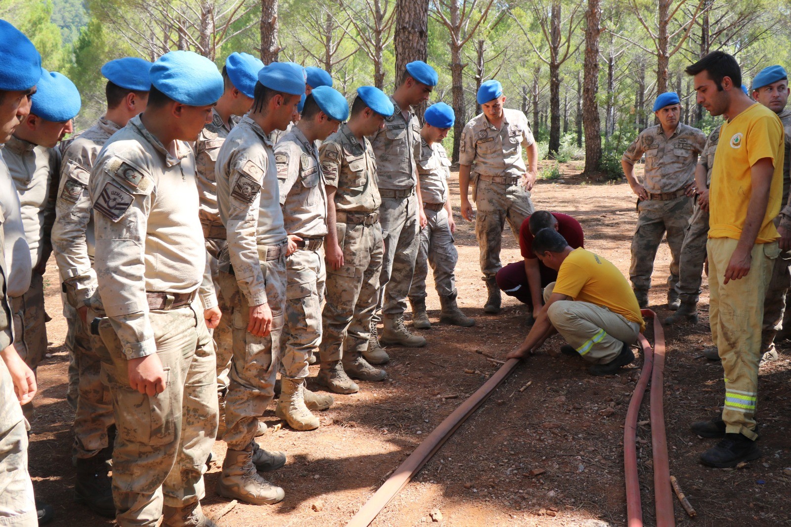 Jandarma ekipleri orman yangınlarına hazır   