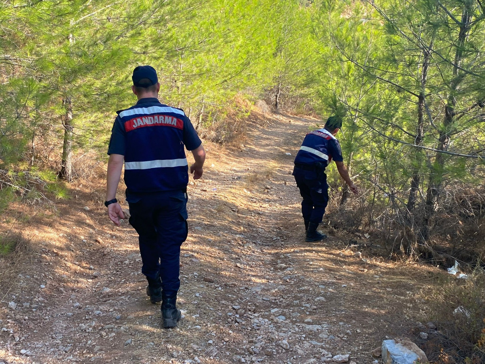 Muğla'da orman yangını riskine karşı teyakkuz