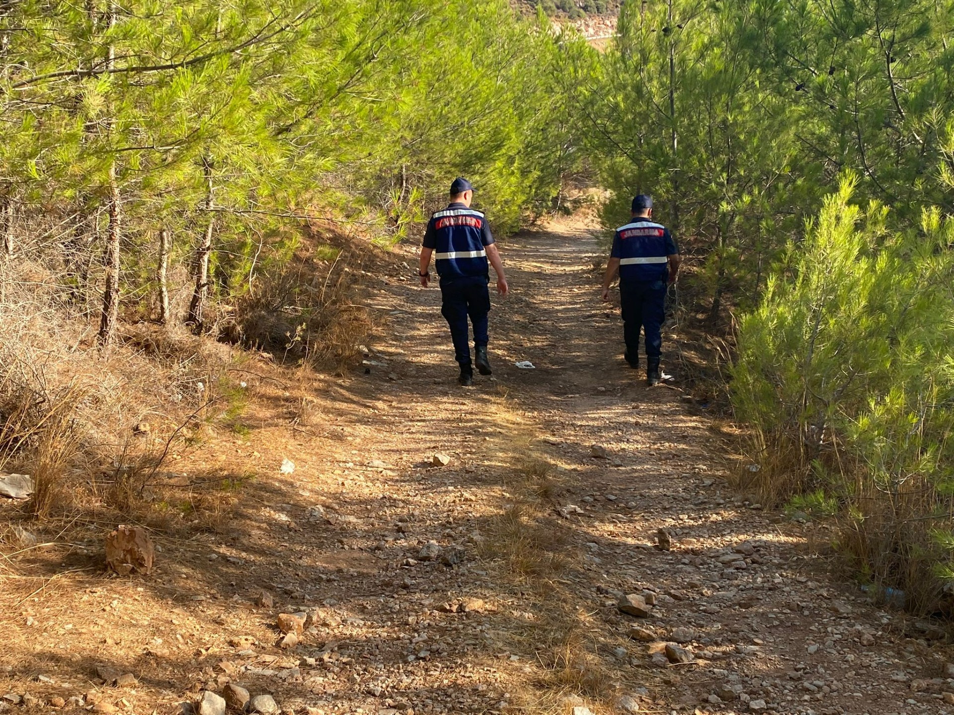 Muğla'da orman yangını riskine karşı teyakkuz