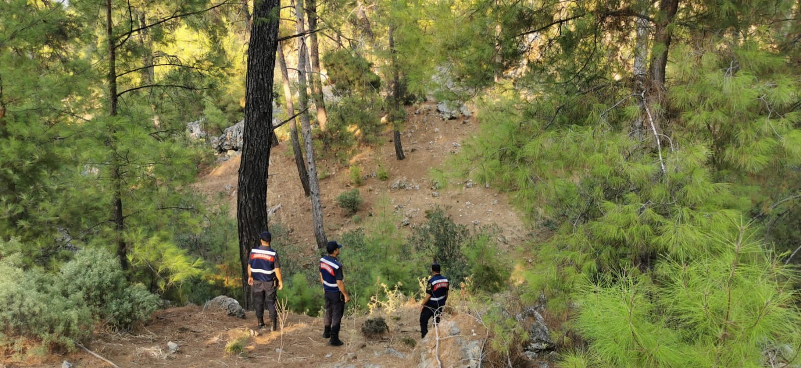 Muğla'da orman yangını riskine karşı teyakkuz