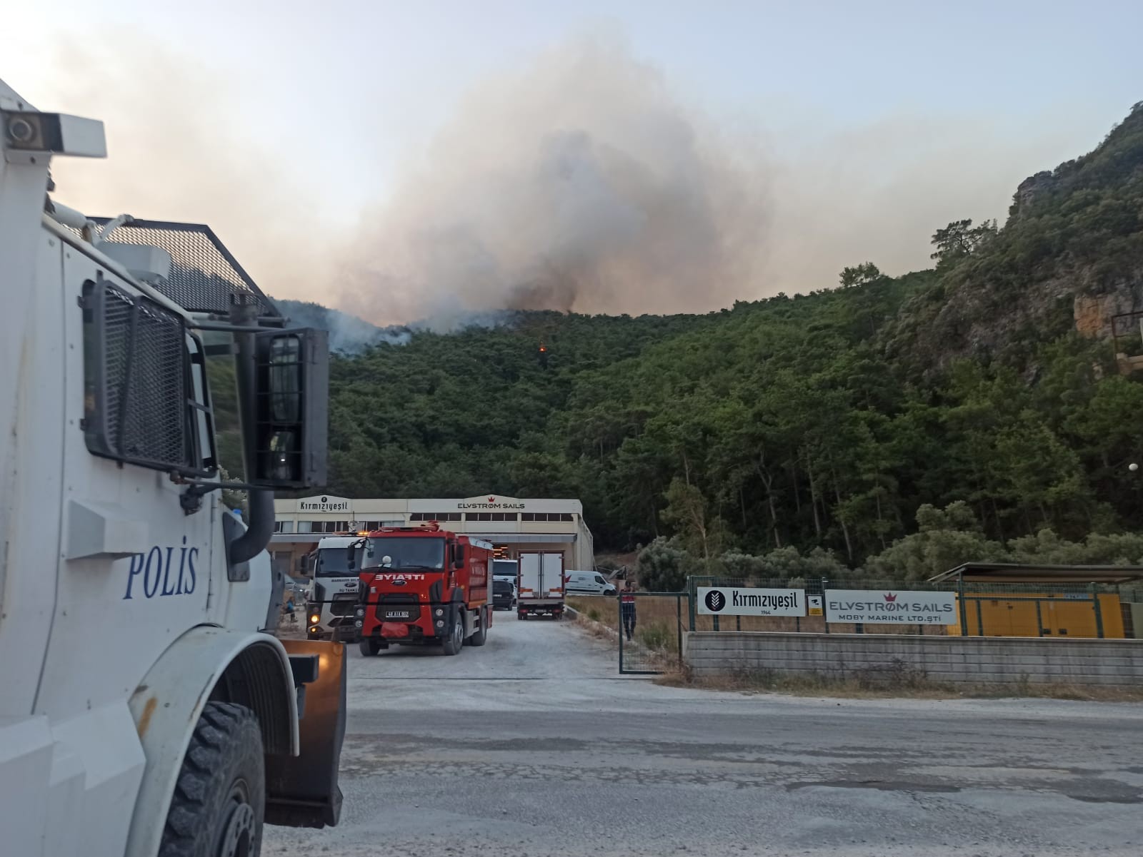 Gökova'da çıkan yangında 50 hektar alan zarar gördü