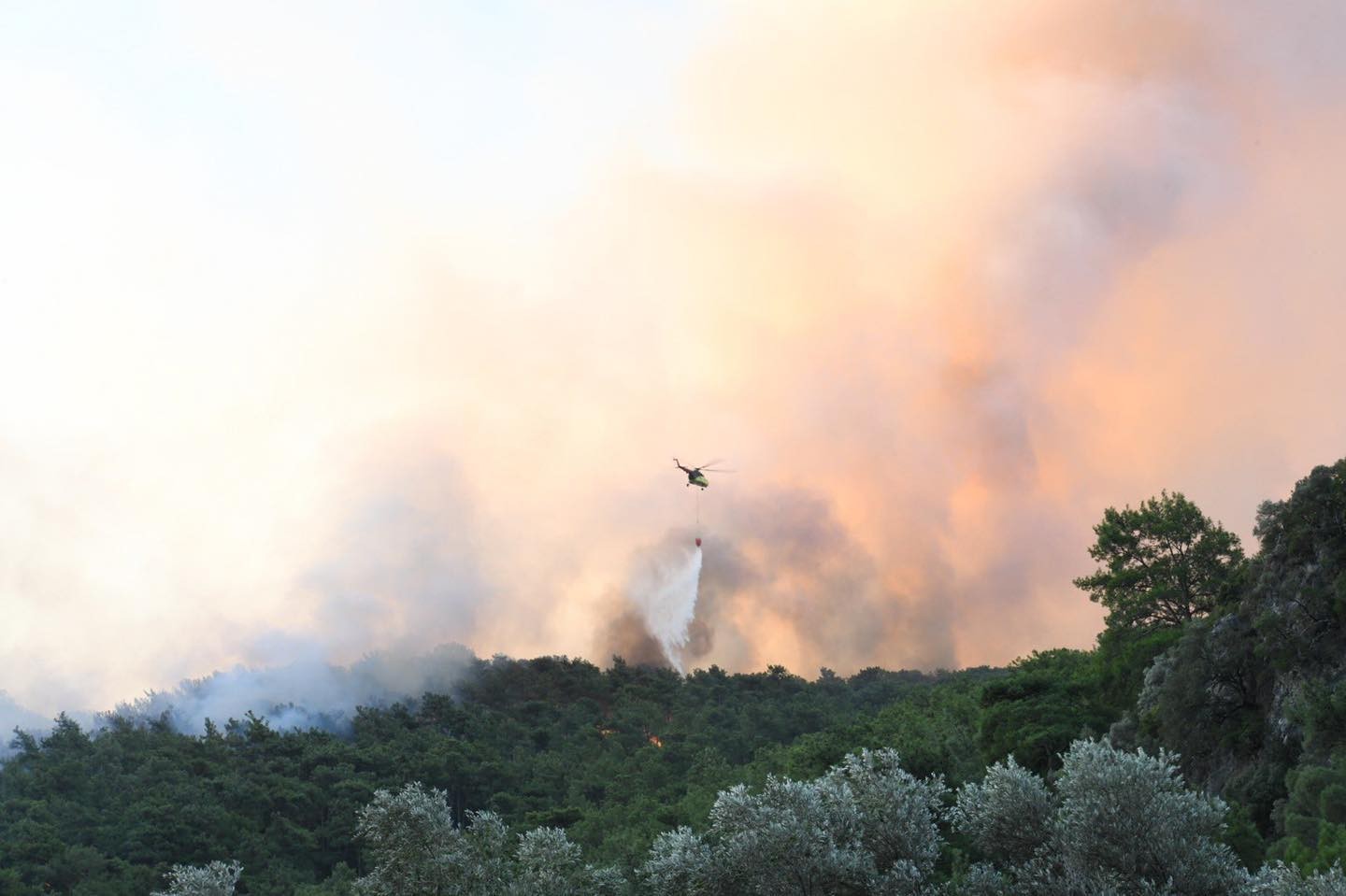 Gökova'da çıkan yangında 50 hektar alan zarar gördü