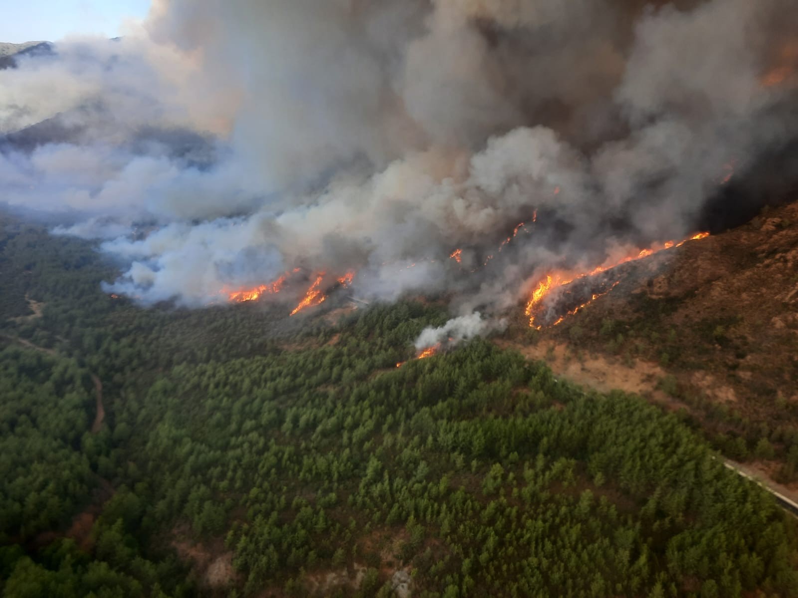 SON DAKİKA! Marmaris’te orman yangını! Yangına havadan ve karadan müdahale ediliyor 