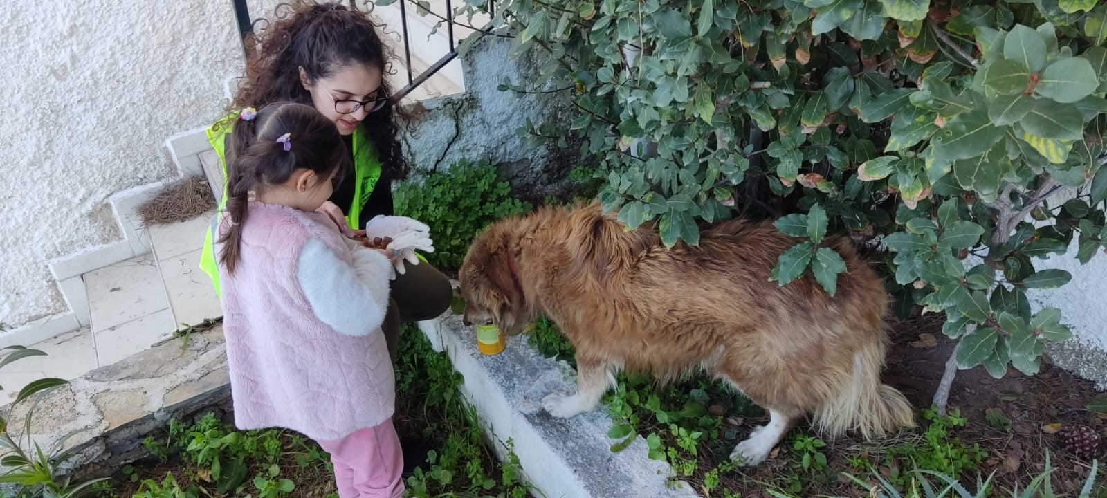 Depremden kurtulan Ege’nin hayvan sevgisi