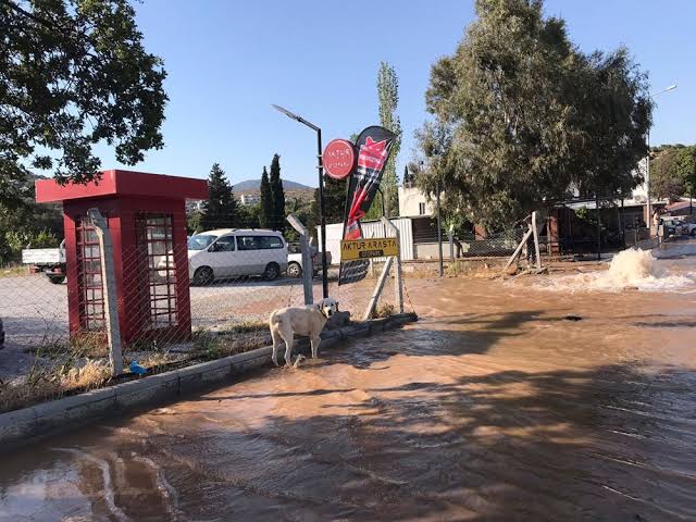 Vatandaşın isyanı! ‘Sular boşa akıyor! Yollar köstebek yuvası!’