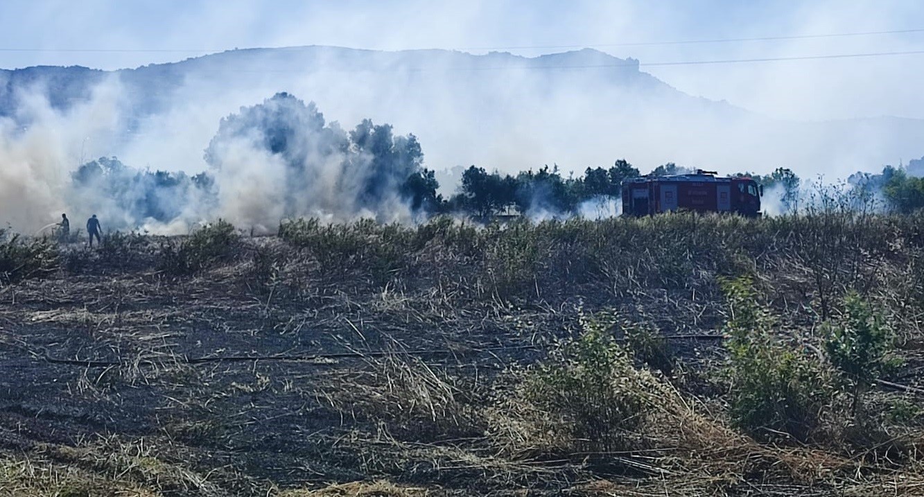 Bodrum'da zirai alan yangını!