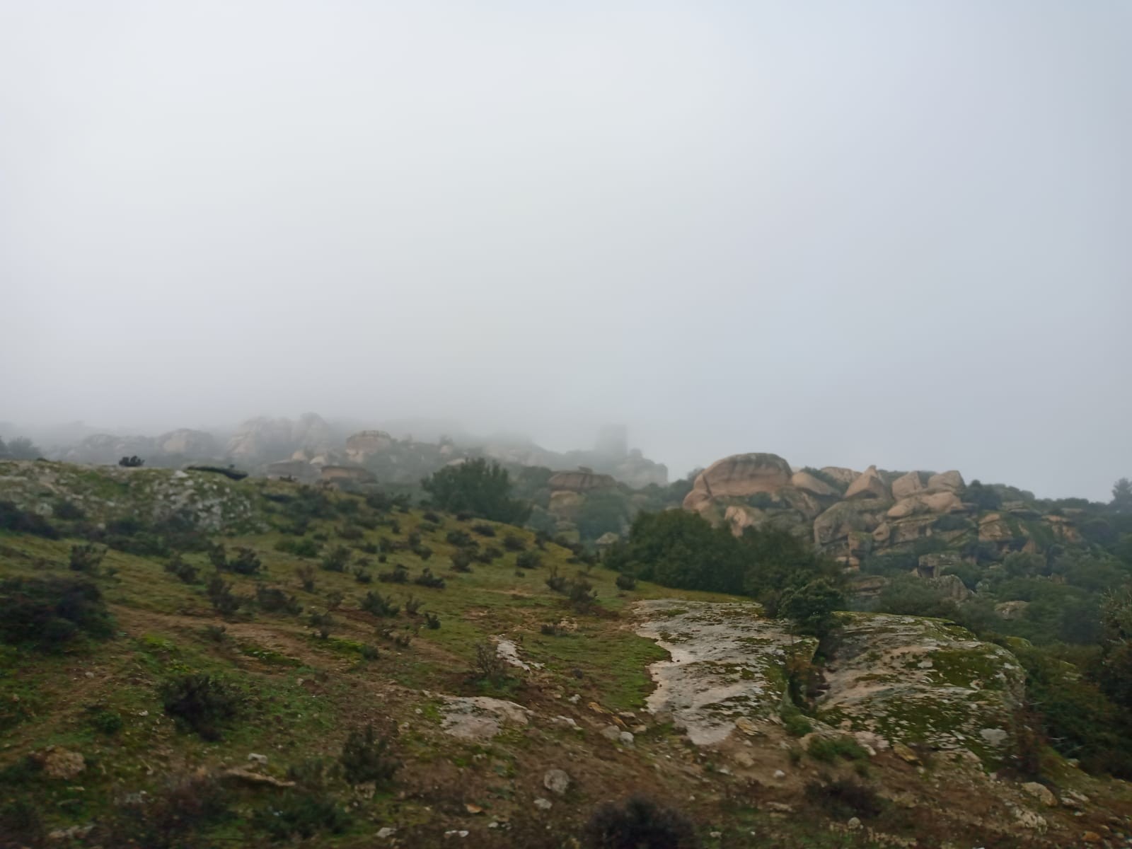 Aydın-Muğla karayolunda sis etkili oldu