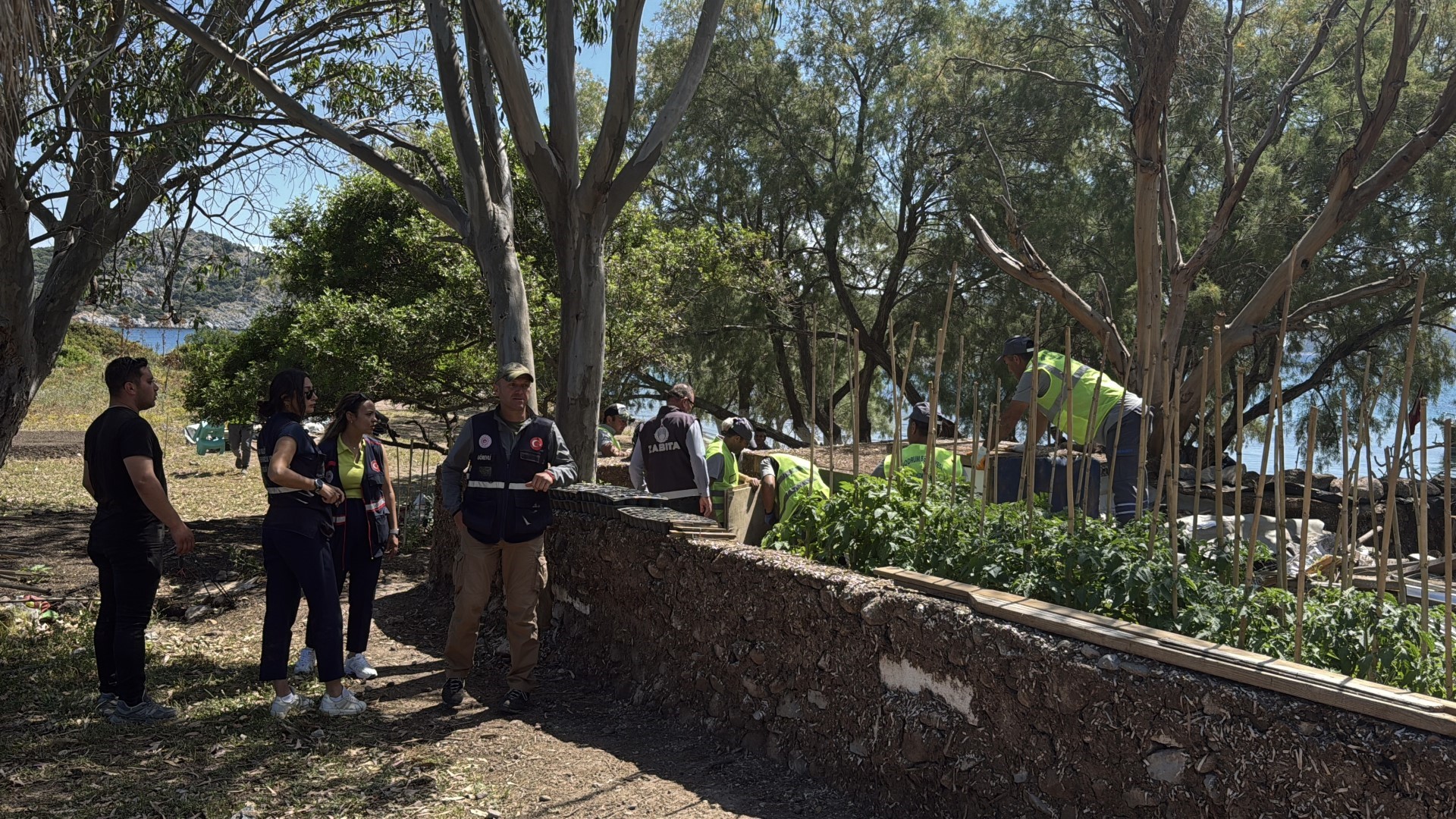Bodrum Adaboğazı'na kaçak yapı operasyonu