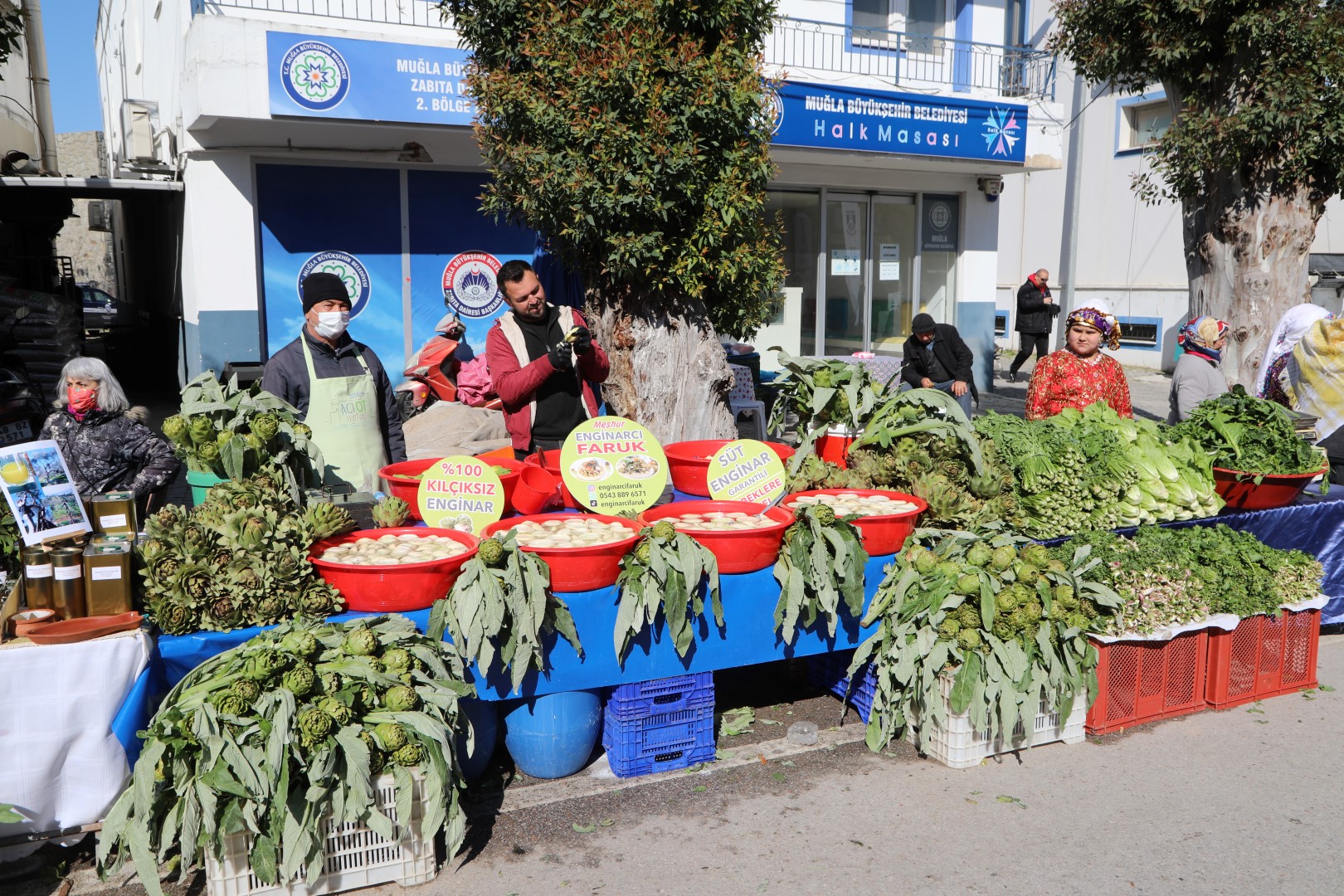 BODRUM ACI OT FESTİVALİ RENKLİ GÖRÜNTÜLERE SAHNE OLDU