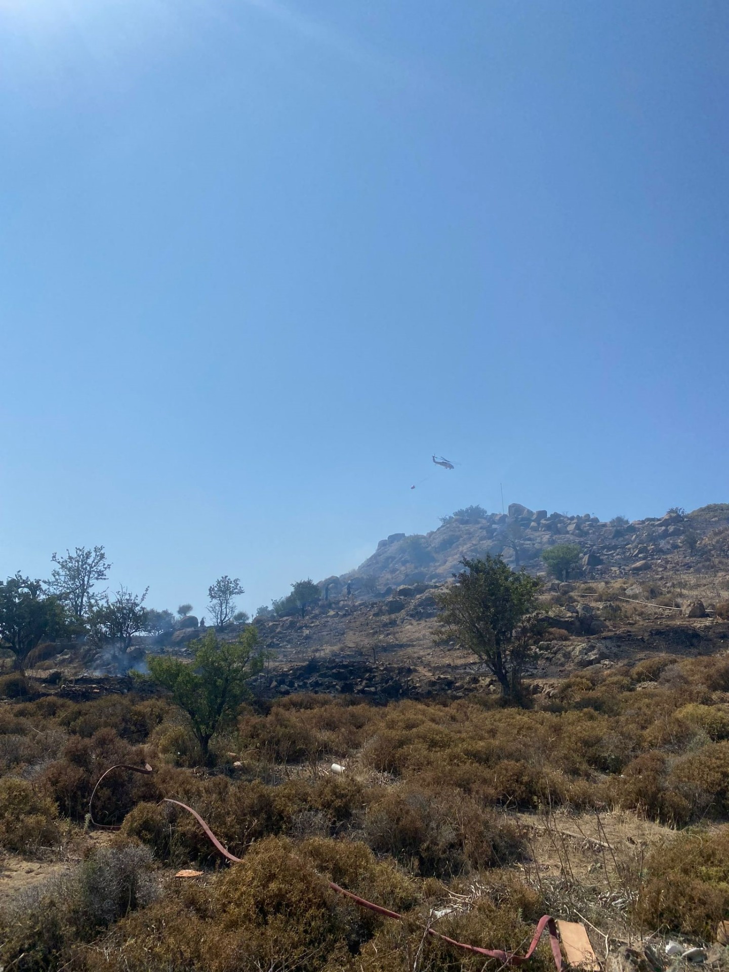 Bodrum Peksimet'te otluk ve makilik yangını!