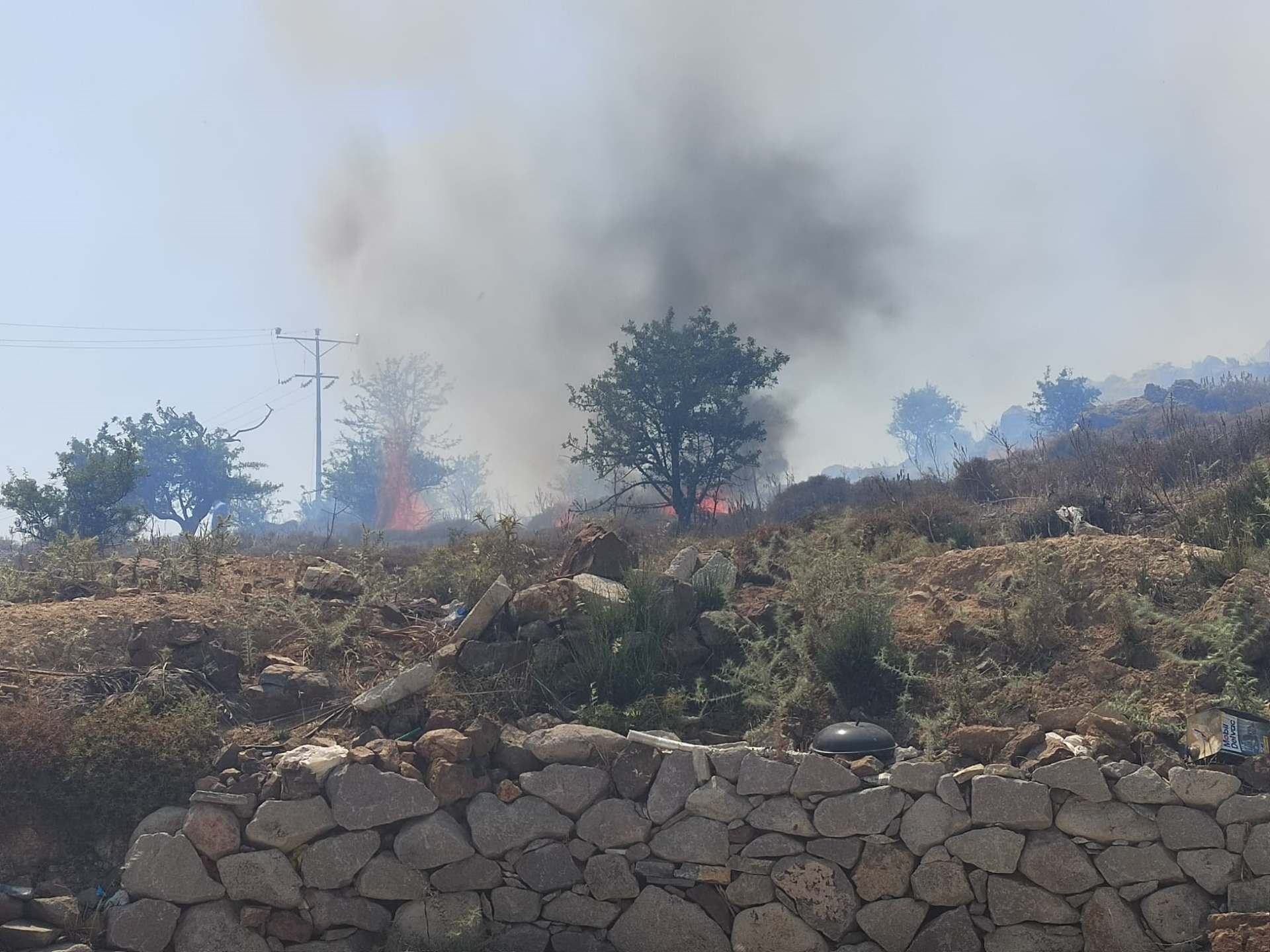 Bodrum Peksimet'te otluk ve makilik yangını!