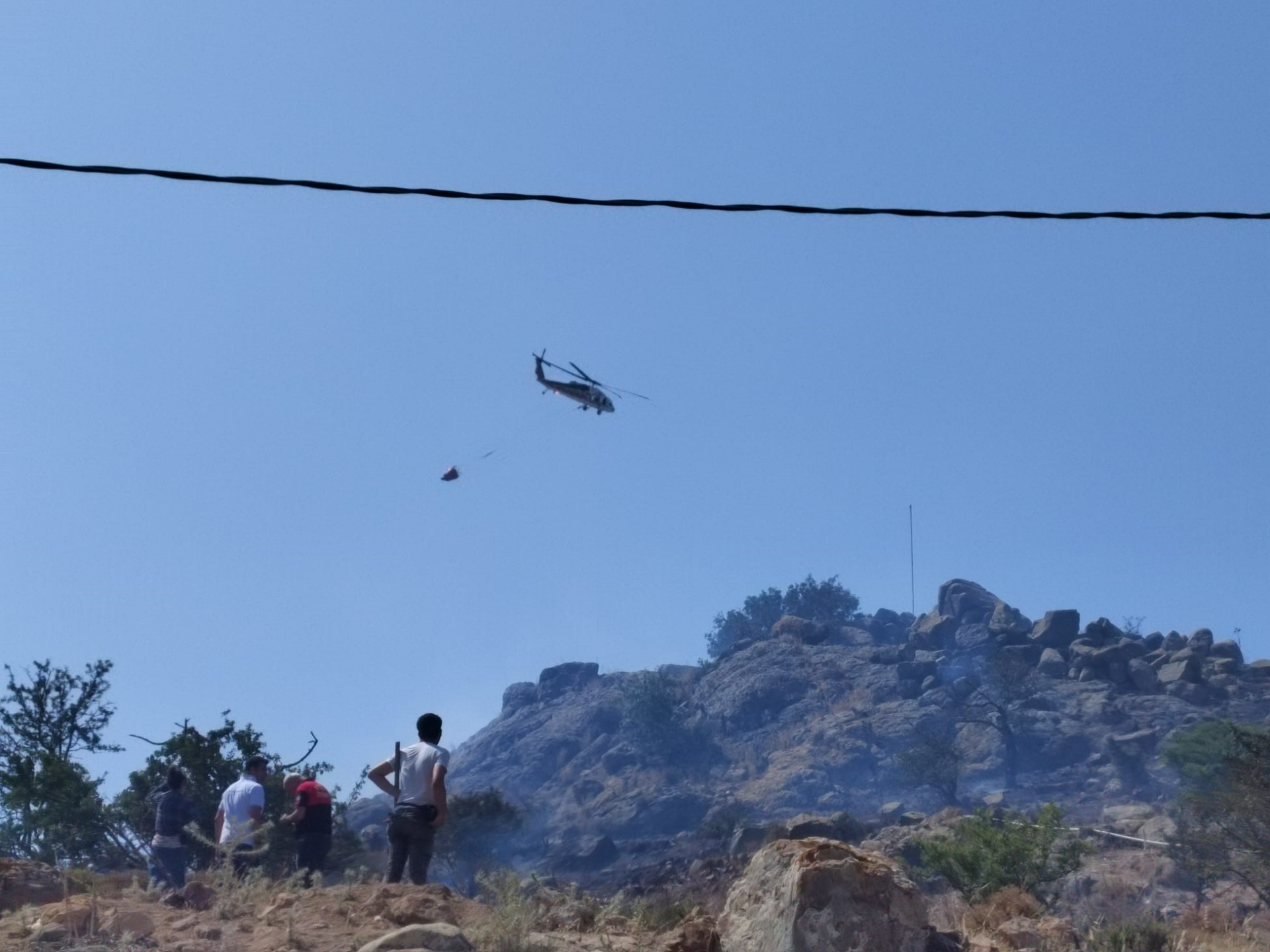 Bodrum Peksimet'te otluk ve makilik yangını!